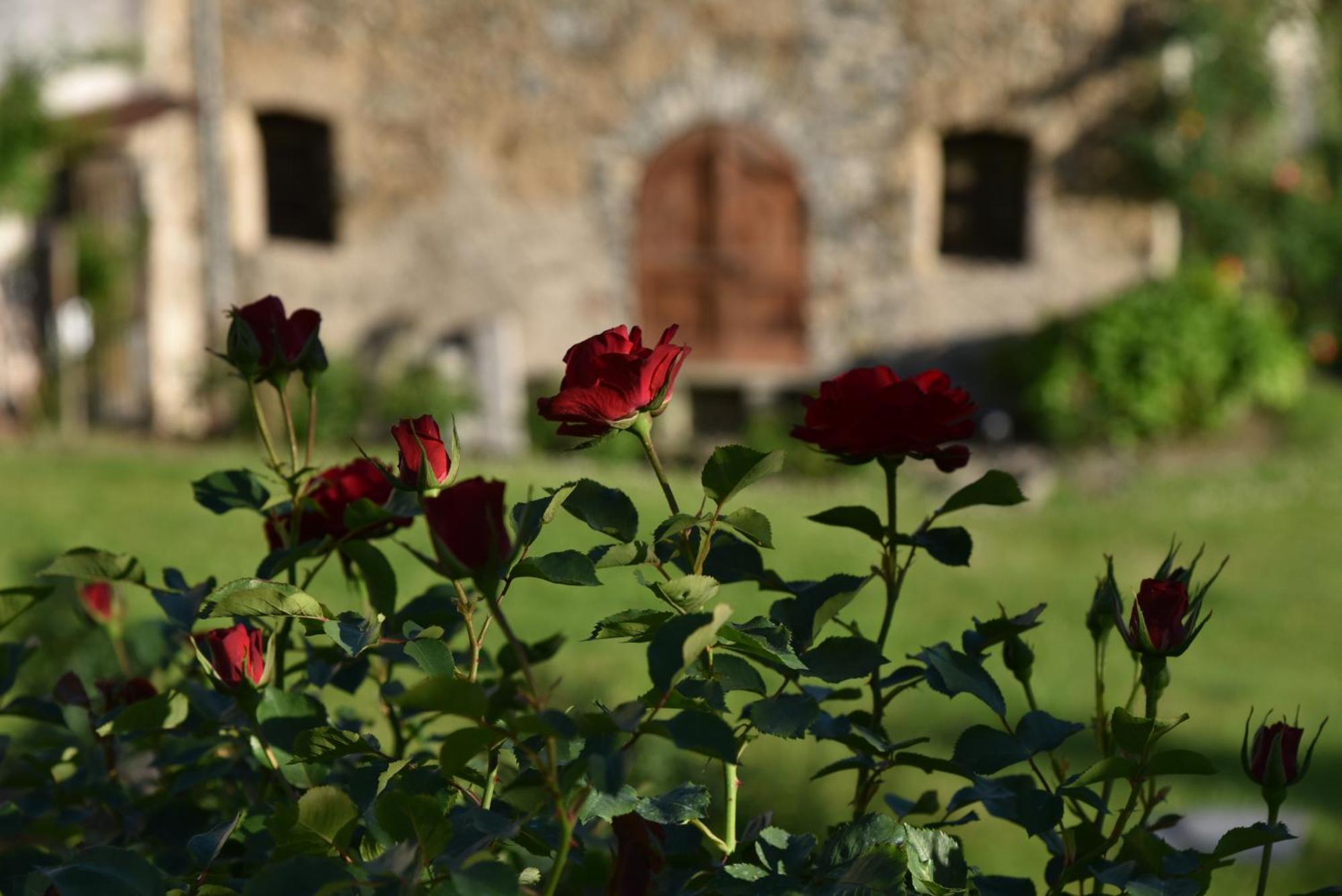 San Bernardo Piano Nobile Al Roseto Del Drago别墅 外观 照片